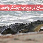 تمساح در دریاچه چیتگر