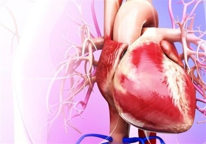 بیماری های قلبی کدام اند؟ و چه پزشکی این بیماری ها را درمان می کند؟